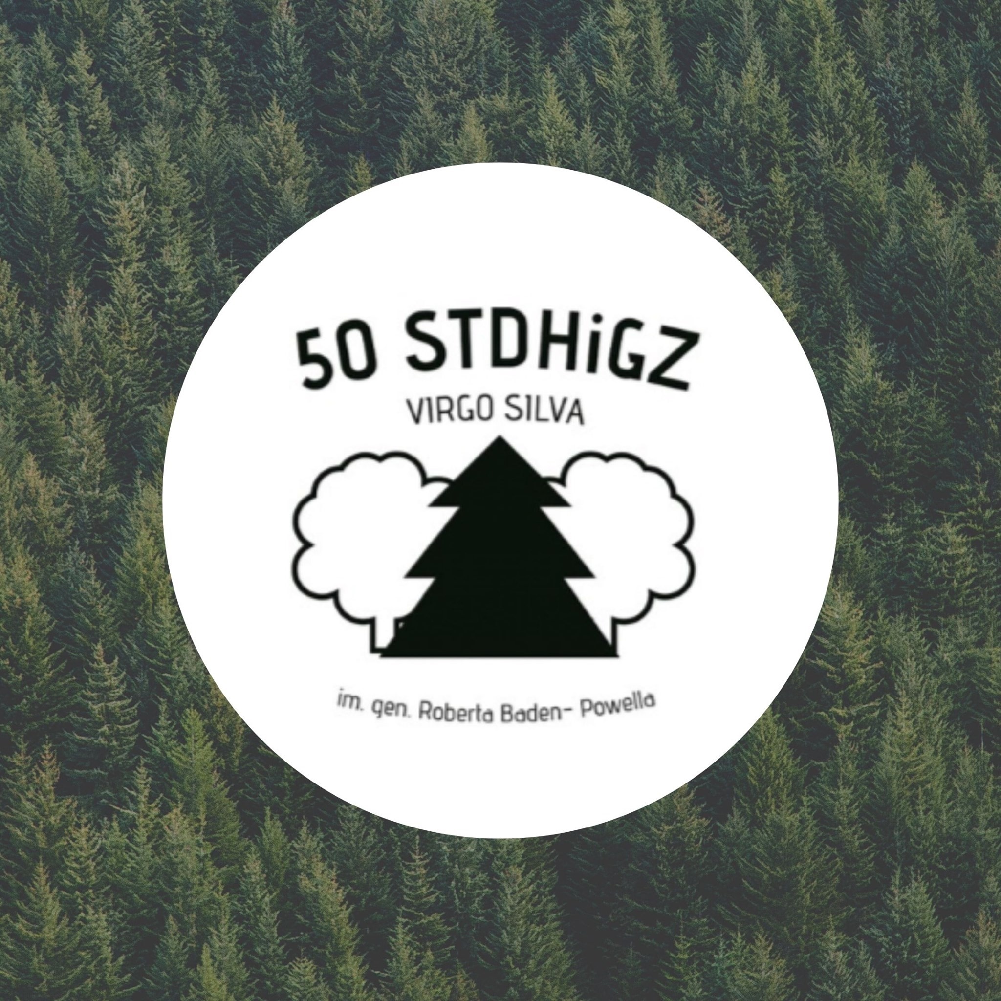 50 Toruńska Drużyna Starszoharcerska Impeesa toruń